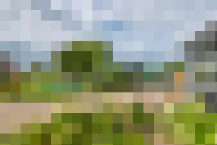 Zandstraat 21 Lienden thumbnail 31