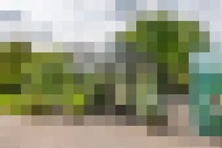 Zandstraat 21 Lienden thumbnail 32