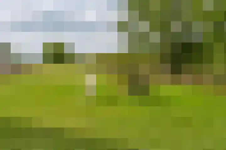 Zandstraat 21 Lienden thumbnail 33