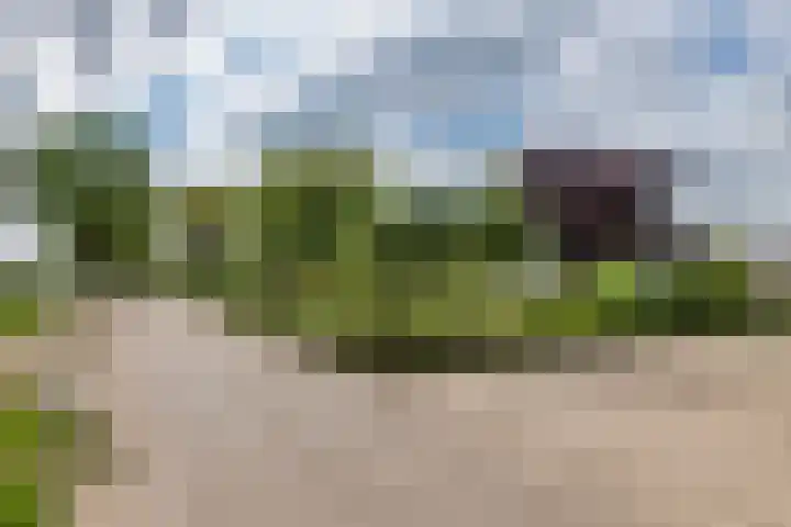Zandstraat 21 Lienden thumbnail 4