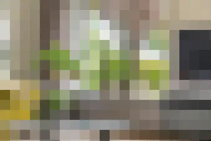 Zandstraat 21 Lienden thumbnail 41