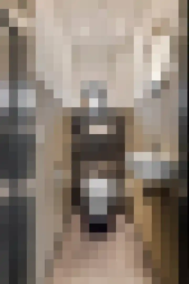 Zandstraat 21 Lienden thumbnail 43