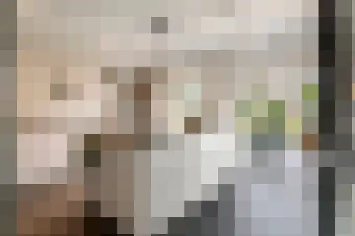 Zandstraat 21 Lienden thumbnail 44