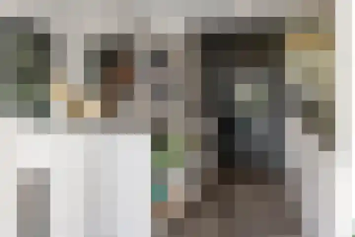 Zandstraat 21 Lienden thumbnail 49