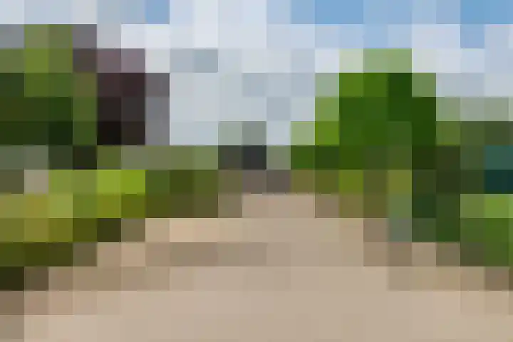Zandstraat 21 Lienden thumbnail 5
