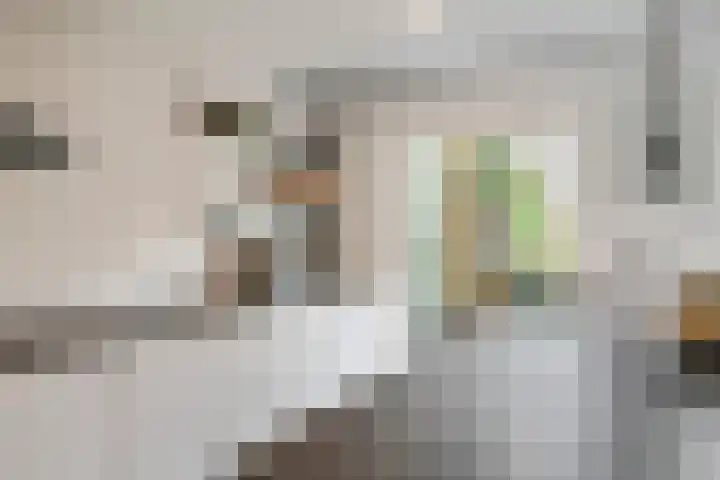 Zandstraat 21 Lienden thumbnail 50