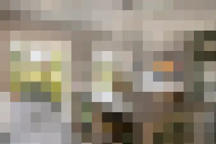 Zandstraat 21 Lienden thumbnail 52