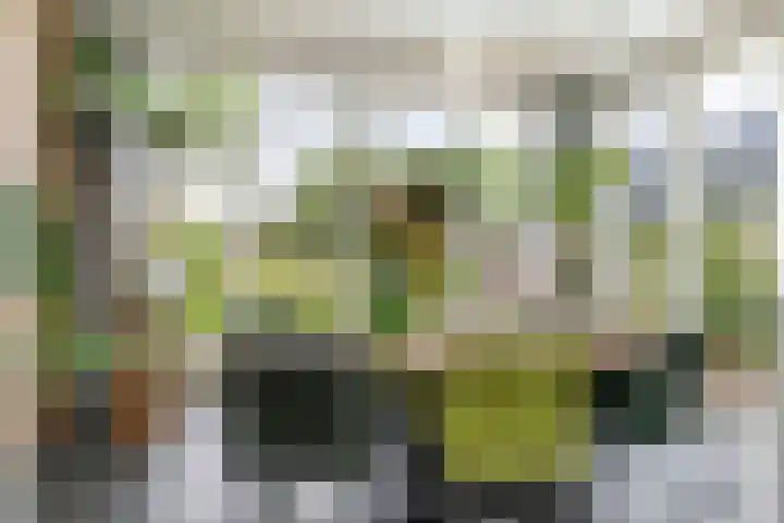 Zandstraat 21 Lienden thumbnail 53