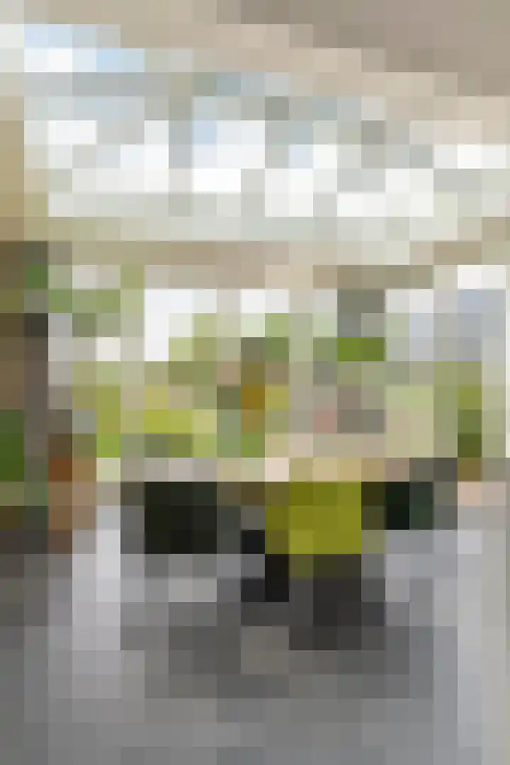 Zandstraat 21 Lienden thumbnail 54