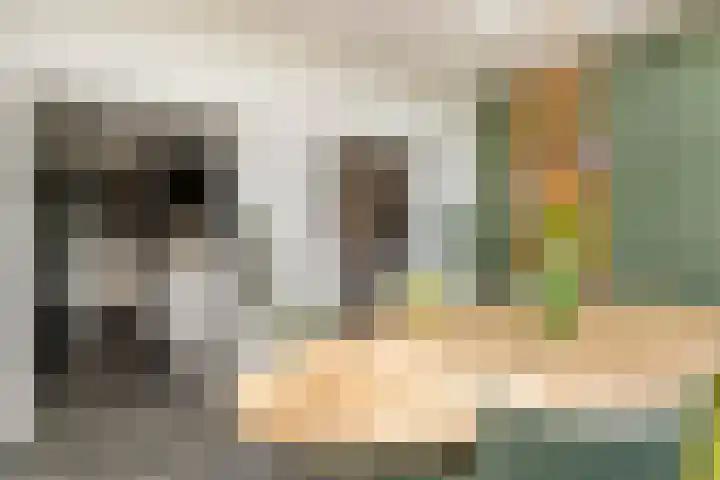 Zandstraat 21 Lienden thumbnail 55