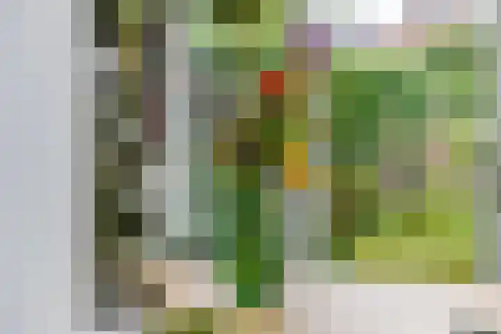 Zandstraat 21 Lienden thumbnail 58
