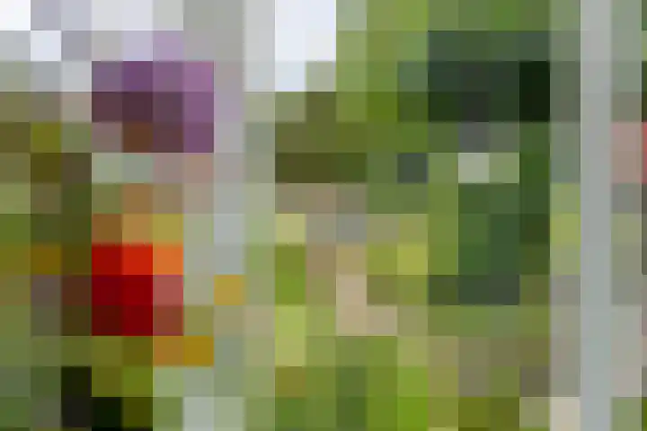 Zandstraat 21 Lienden thumbnail 59