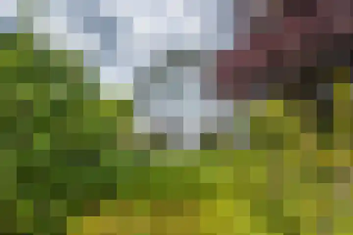 Zandstraat 21 Lienden thumbnail 6