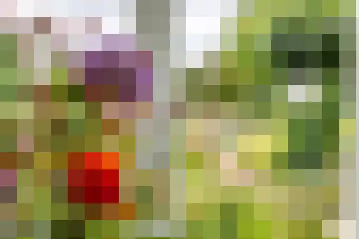 Zandstraat 21 Lienden thumbnail 60