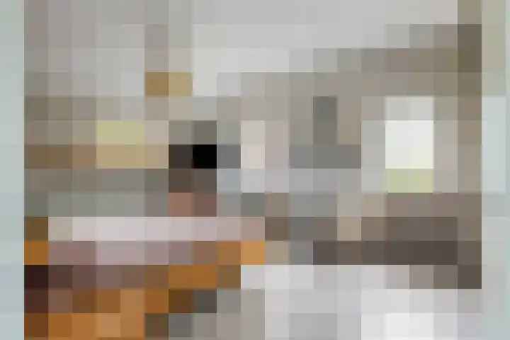Zandstraat 21 Lienden thumbnail 61