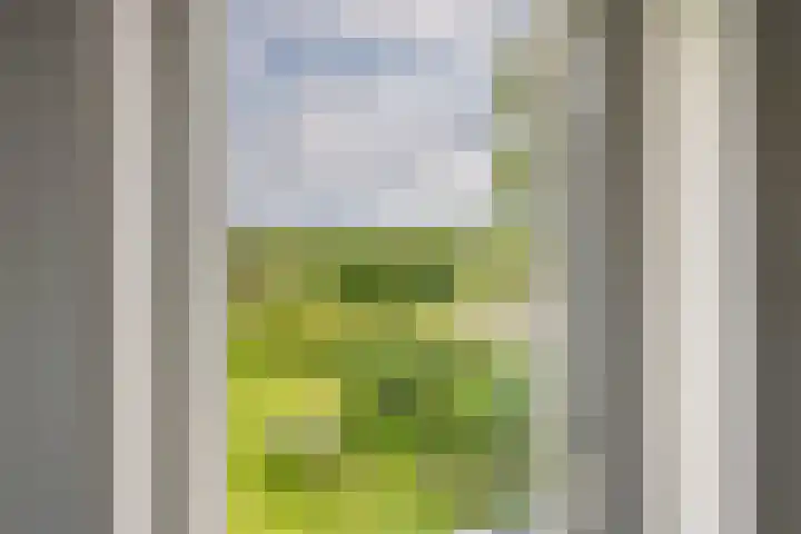 Zandstraat 21 Lienden thumbnail 64