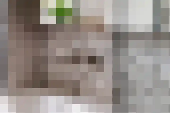 Zandstraat 21 Lienden thumbnail 68