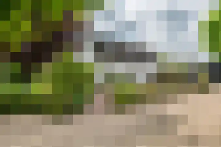 Zandstraat 21 Lienden thumbnail 7
