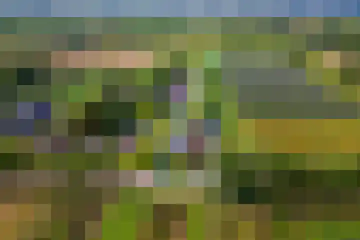 Zandstraat 21 Lienden thumbnail 76