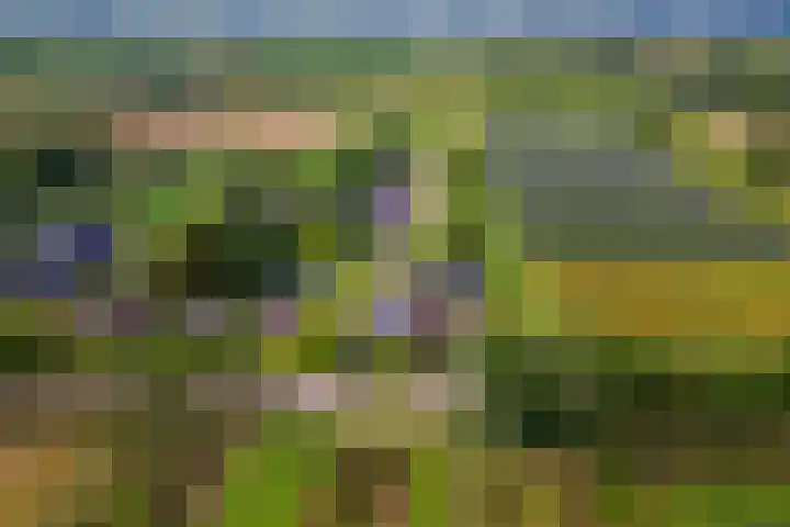 Zandstraat 21 Lienden thumbnail 77