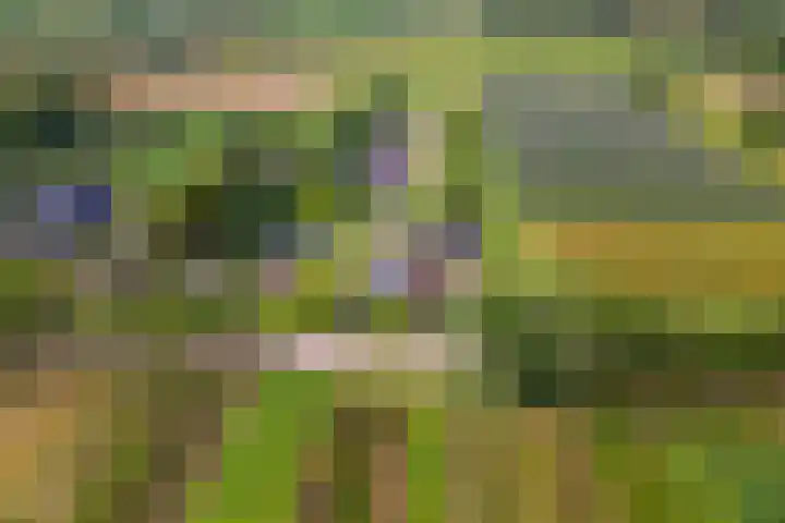 Zandstraat 21 Lienden thumbnail 78