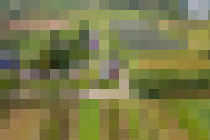 Zandstraat 21 Lienden thumbnail 79