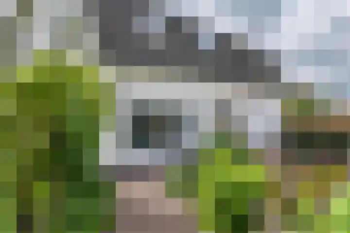 Zandstraat 21 Lienden thumbnail 8