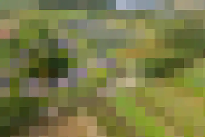 Zandstraat 21 Lienden thumbnail 80