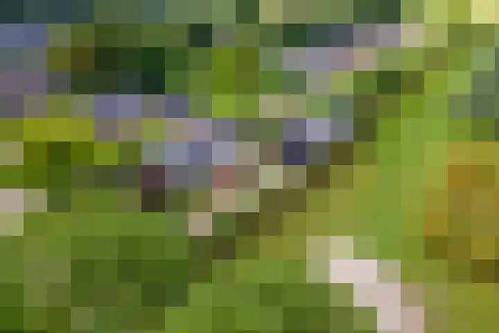 Zandstraat 21 Lienden thumbnail 81