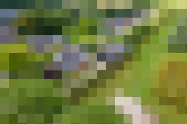 Zandstraat 21 Lienden thumbnail 82