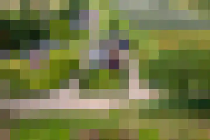 Zandstraat 21 Lienden thumbnail 83