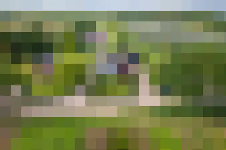 Zandstraat 21 Lienden thumbnail 84