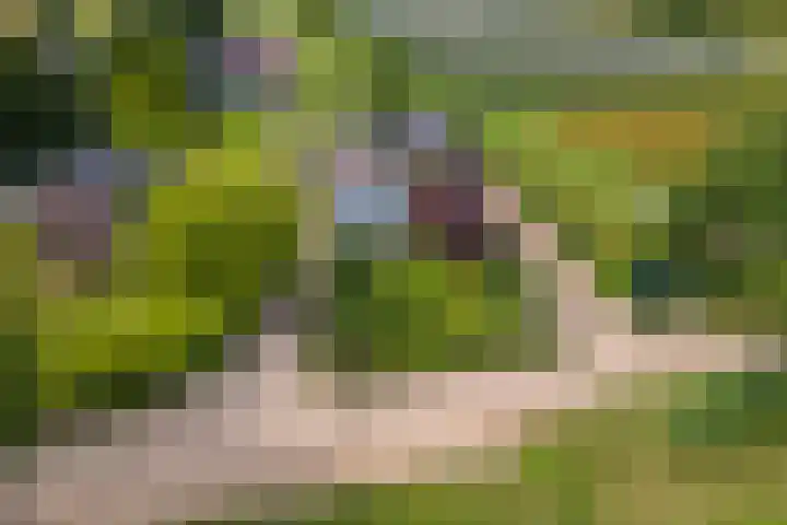 Zandstraat 21 Lienden thumbnail 85