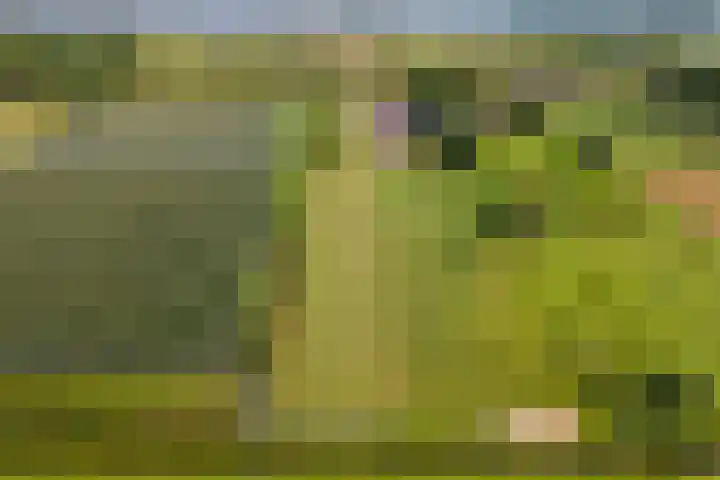 Zandstraat 21 Lienden thumbnail 86