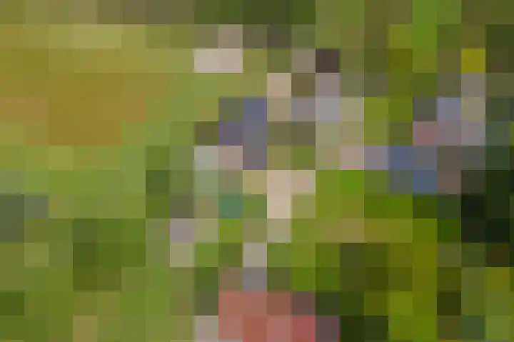 Zandstraat 21 Lienden thumbnail 88