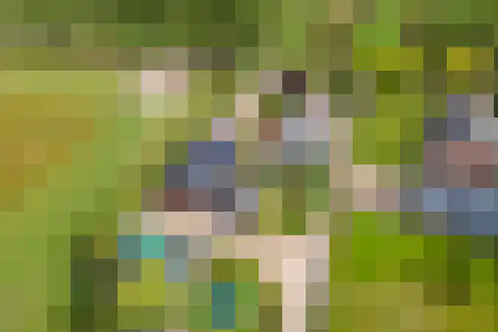 Zandstraat 21 Lienden thumbnail 89