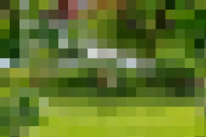 Zandstraat 21 Lienden thumbnail 9