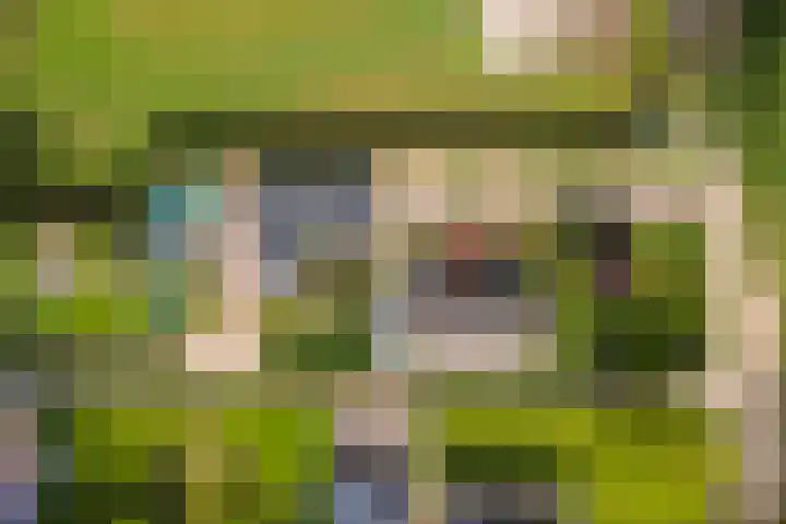 Zandstraat 21 Lienden thumbnail 90