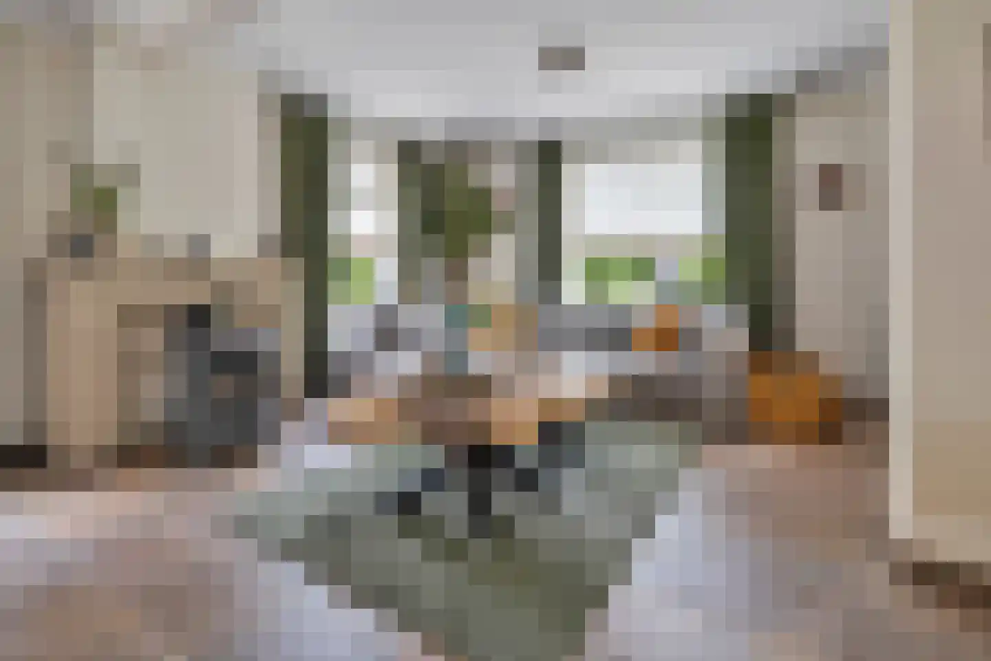 Zandstraat 21 Nuland thumbnail 10