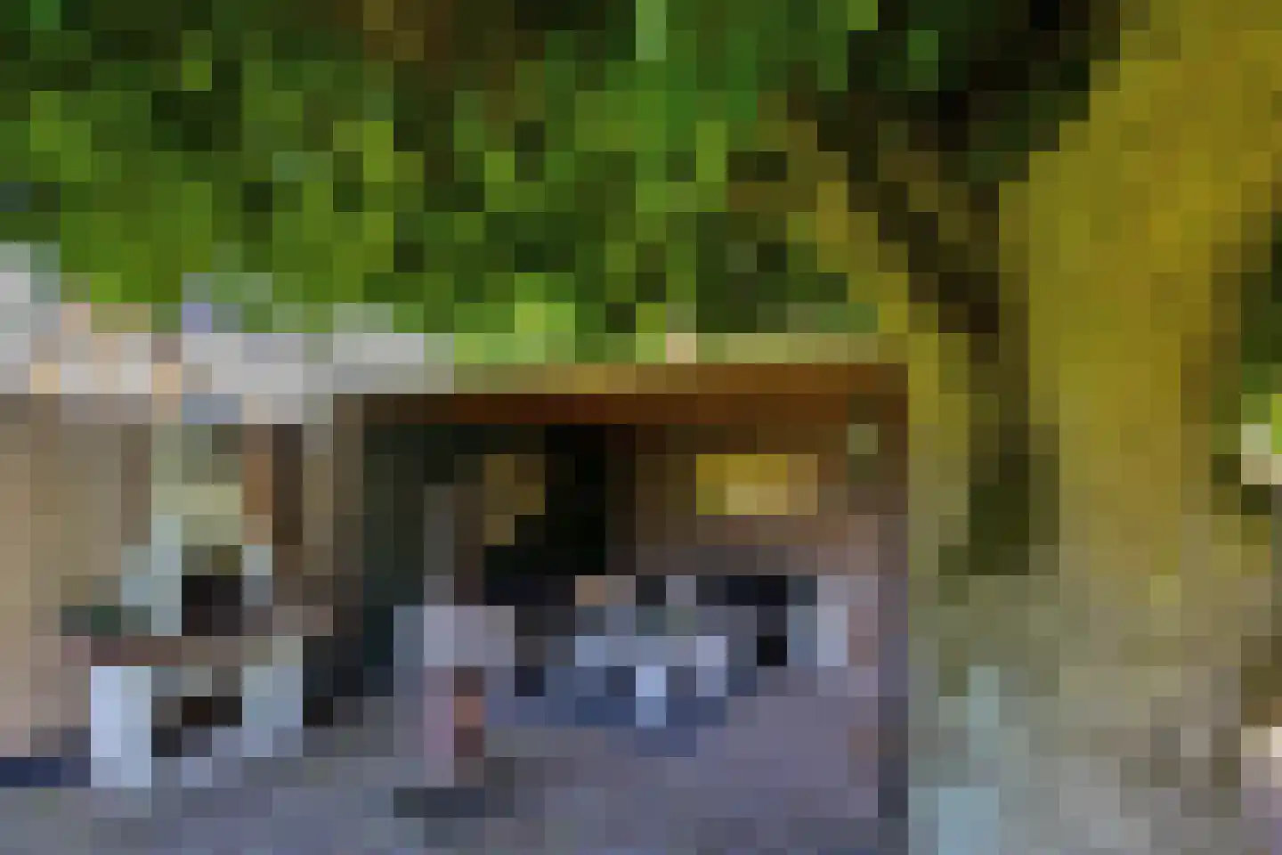 Zandstraat 21 Nuland thumbnail 42