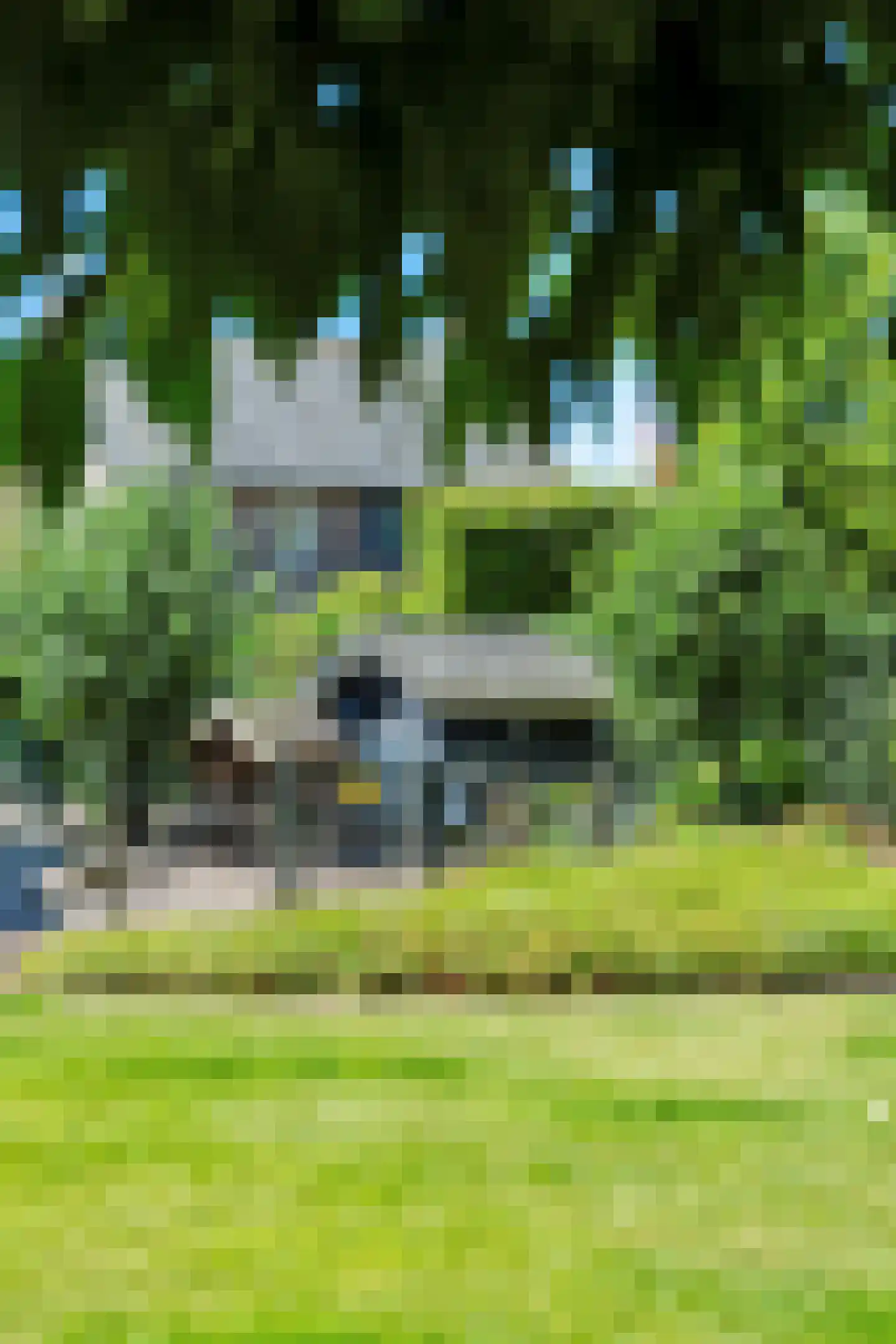 Zandstraat 21 Nuland thumbnail 45