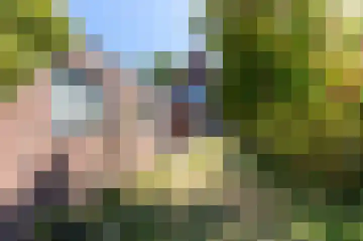 Zandstraat 211 Bergen op Zoom thumbnail 33