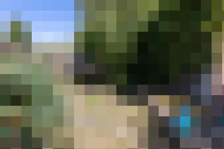 Zandstraat 211 Bergen op Zoom thumbnail 37