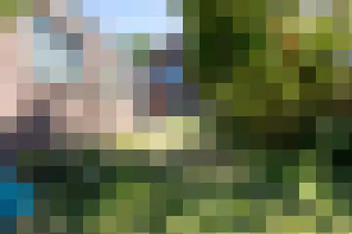 Zandstraat 211 Bergen op Zoom thumbnail 38