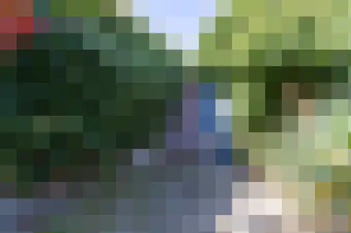 Zandstraat 211 Bergen op Zoom thumbnail 39