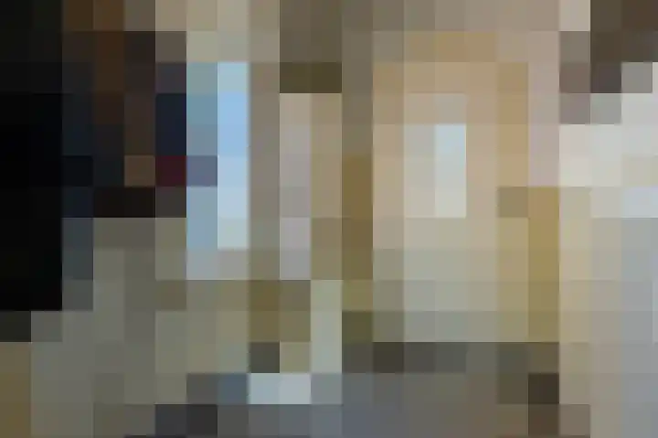 Zandstraat 211 Bergen op Zoom thumbnail 8