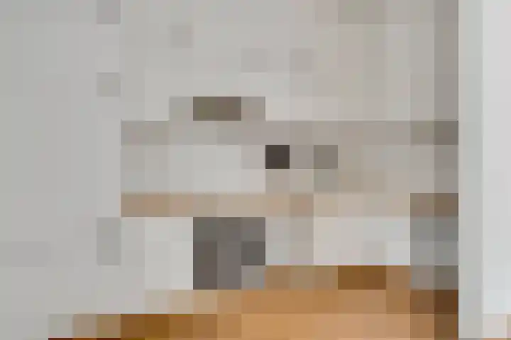 Zandstraat 22 Spaubeek thumbnail 6