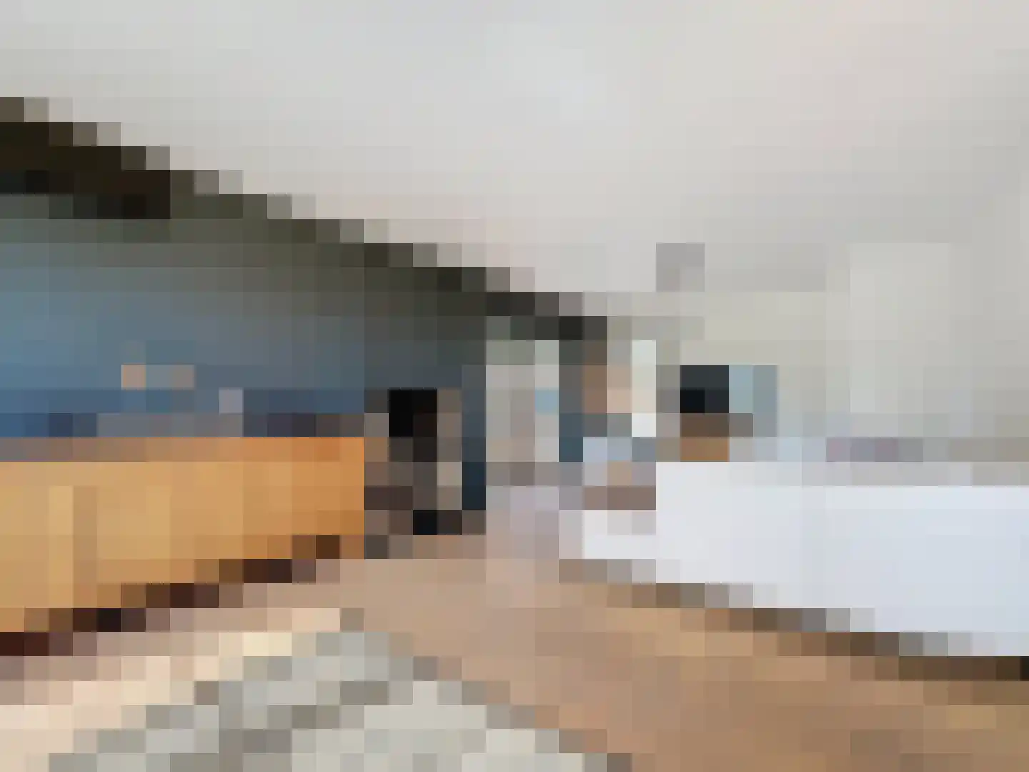 Zandstraat 23 Sluis thumbnail 12