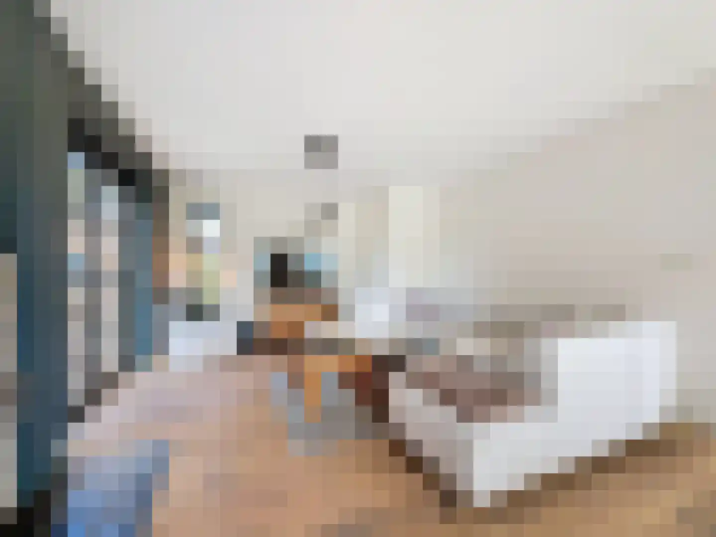 Zandstraat 23 Sluis thumbnail 13