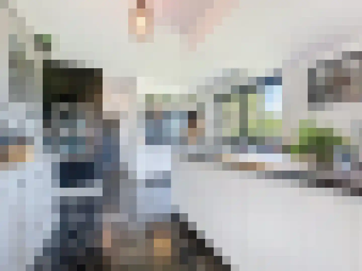 Zandstraat 23 Sluis thumbnail 16
